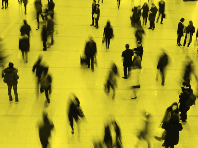 Réseau en scène | Bilan d'activité